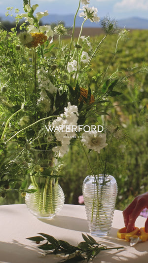 Waterford Circon Vase, 8"