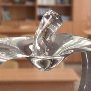 Ravanox Flat Crystal Apple Paperweight, 3.75" lifetime engraving